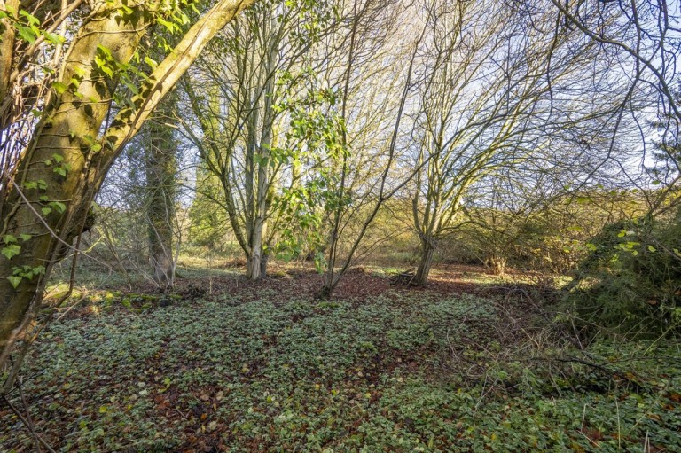 Images for Ipswich, Suffolk, Ipswich