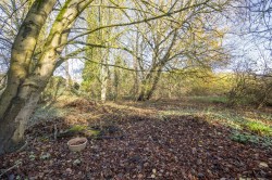 Images for Ipswich, Suffolk, Ipswich