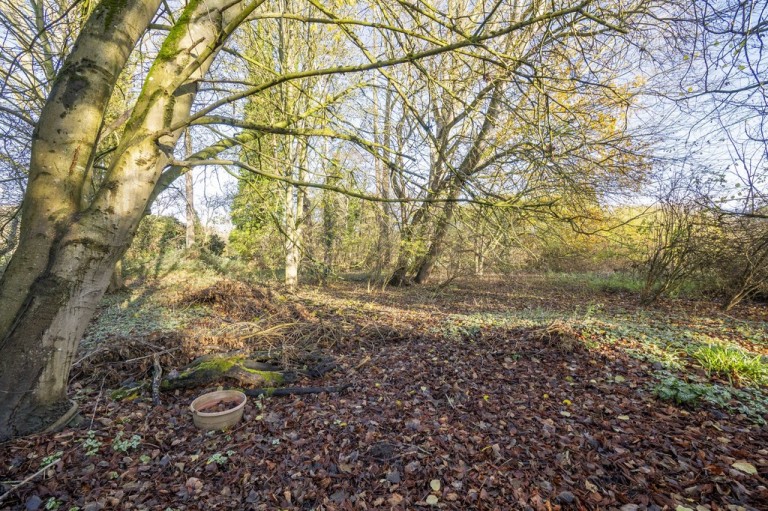 Images for Ipswich, Suffolk, Ipswich