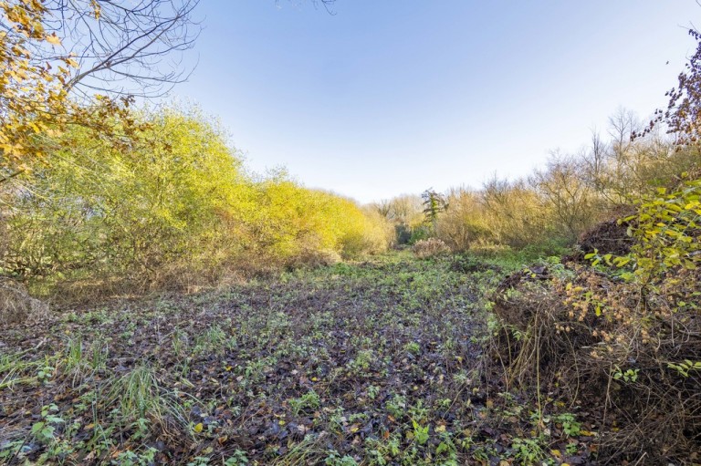 Images for Ipswich, Suffolk, Ipswich