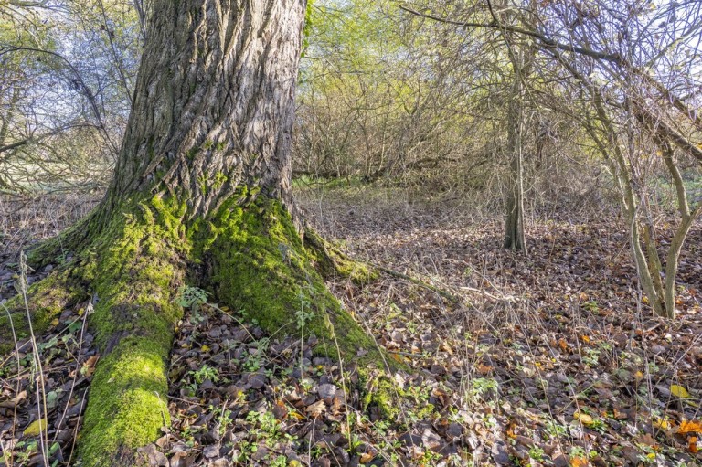 Images for Ipswich, Suffolk, Ipswich