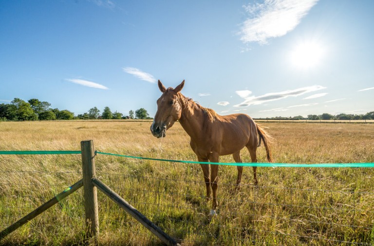 Images for Sudbury, Suffolk., Sudbury