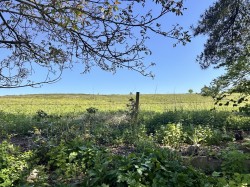 Images for Halstead, Essex, Halstead
