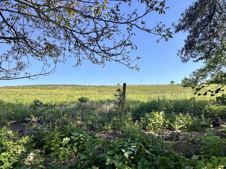 Images for Halstead, Essex, Halstead