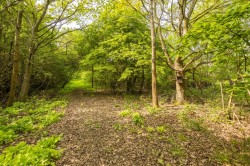 Images for Kersey, Suffolk, Ipswich