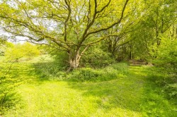 Images for Kersey, Suffolk, Ipswich