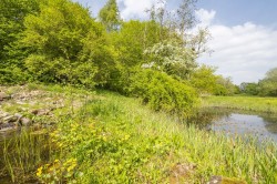 Images for Kersey, Suffolk, Ipswich