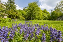 Images for Kersey, Suffolk, Ipswich