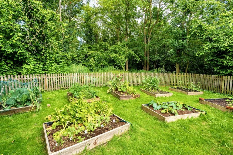 Images for Colchester, Essex, Colchester