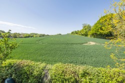 Images for Bures, Suffolk, Bures