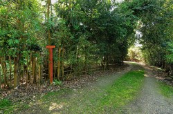 Images for Great Barton, Bury St. Edmunds, Bury St. Edmunds