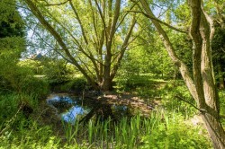 Images for Cotton, Stowmarket