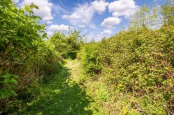 Images for Cotton, Stowmarket
