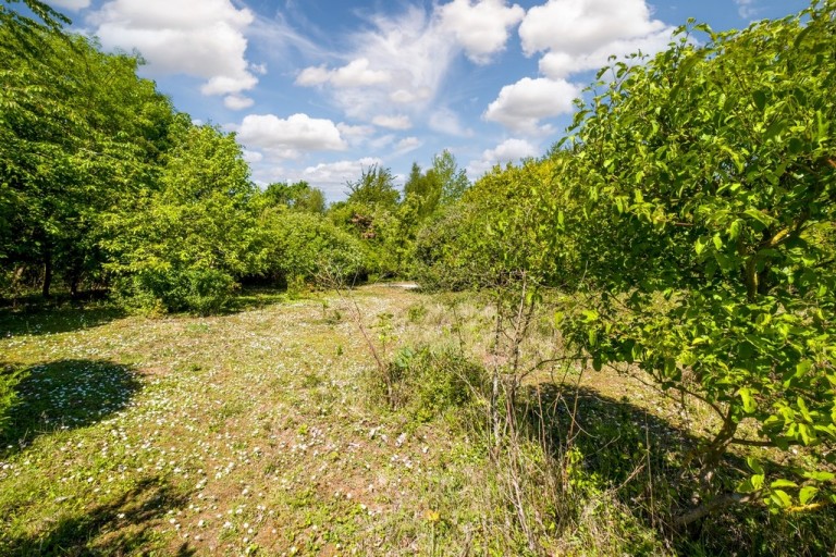 Images for Cotton, Stowmarket