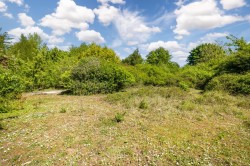 Images for Cotton, Stowmarket
