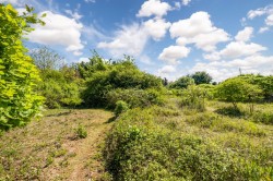 Images for Cotton, Stowmarket