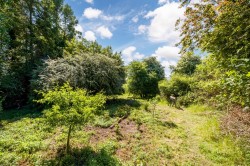 Images for Cotton, Stowmarket
