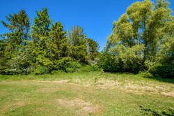 Images for Cotton, Stowmarket