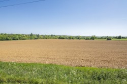 Images for Sudbury, Suffolk, Sudbury