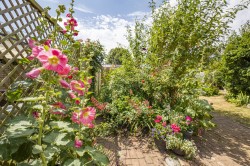 Images for Sudbury, Suffolk, Sudbury