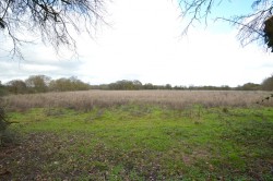 Images for Gestingthorpe, Essex, Halstead