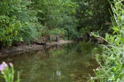 Images for Sudbury, Suffolk, Sudbury
