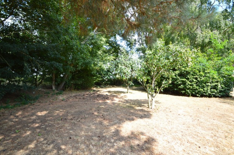 Images for Shalford, Essex, Braintree