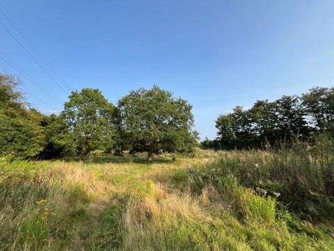 Click the photo for more details of Thorpe-le-Soken, Clacton-on-Sea