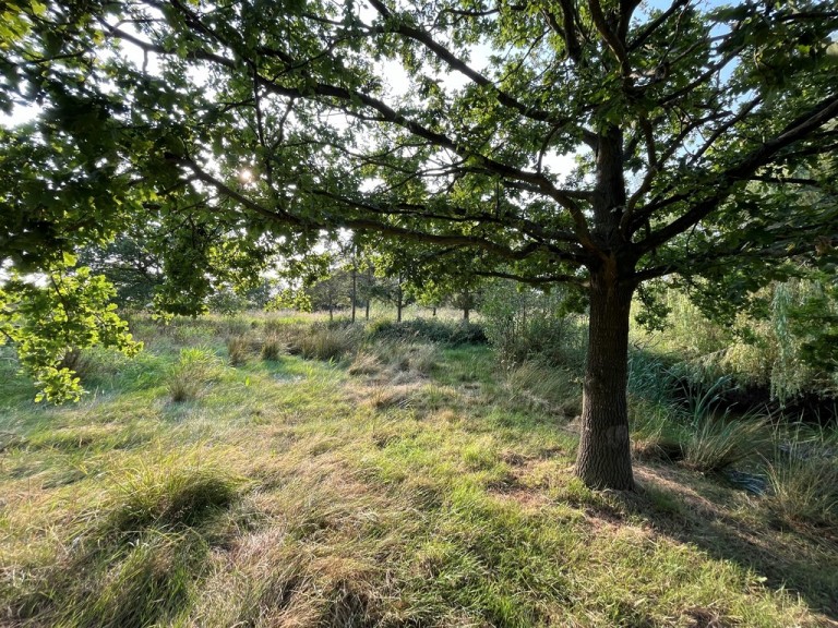 Images for Thorpe-le-Soken, Clacton-on-Sea