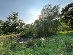 Images for Thorpe-le-Soken, Clacton-on-Sea