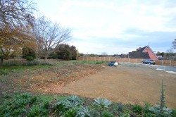 Images for Halstead, Essex, Halstead