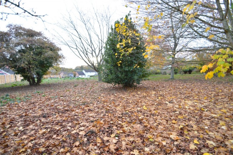 Images for Halstead, Essex, Halstead