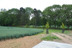 Images for Belchamp Walter, Essex, Sudbury