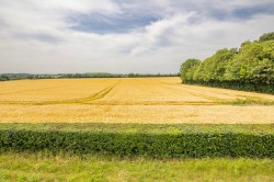 Images for Sudbury, Suffolk, Sudbury