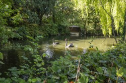 Images for Suffolk/Essex Border, Sudbury