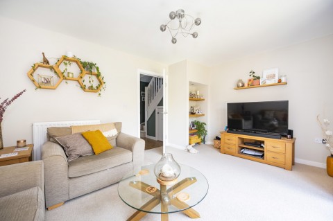 Click the photo for more details of Suffolk, Sudbury