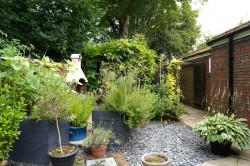 Images for Castle Hedingham, Essex, Halstead