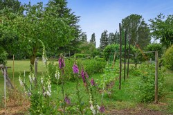 Images for Bures, Essex, Bures