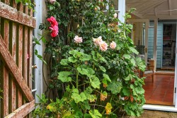 Images for Bures, Essex, Bures
