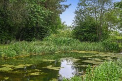 Images for Bures, Essex, Bures