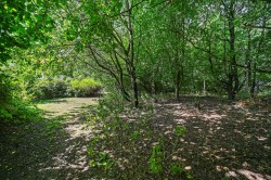 Images for Great Maplestead, Essex, Halstead