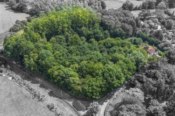 Images for Great Maplestead, Essex, Halstead