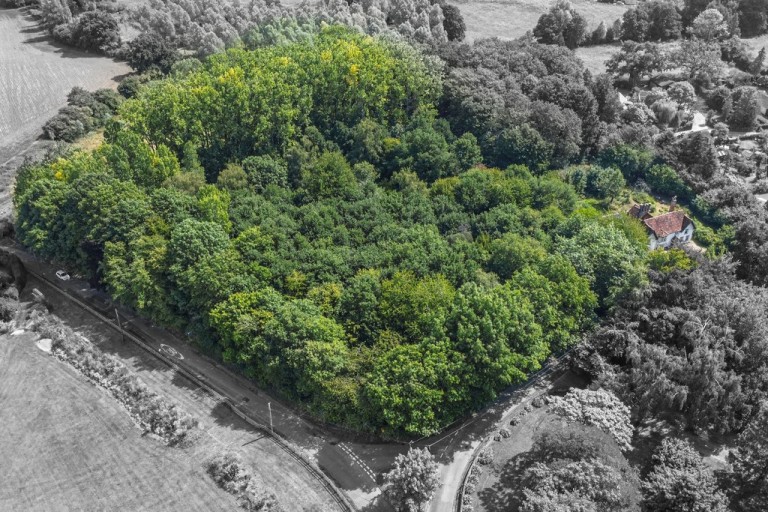 Images for Great Maplestead, Essex, Halstead
