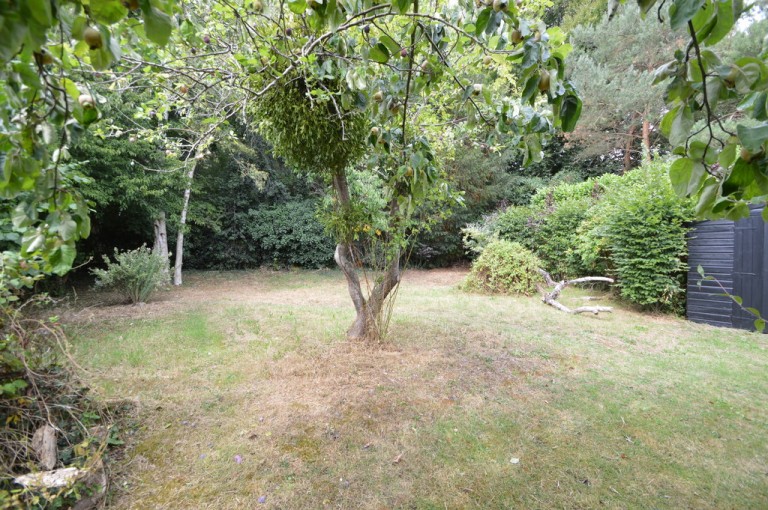 Images for Castle Hedingham, Essex, Halstead