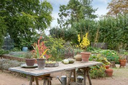 Images for Essex/Suffolk Border, Sudbury