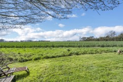 Images for Norton, Bury St Edmunds, Bury St Edmunds