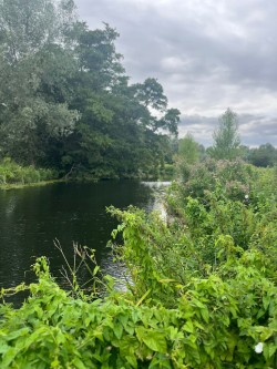 Images for Colchester, Suffolk, Colchester