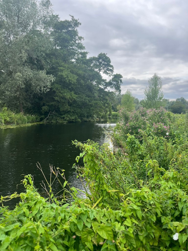 Images for Colchester, Suffolk, Colchester