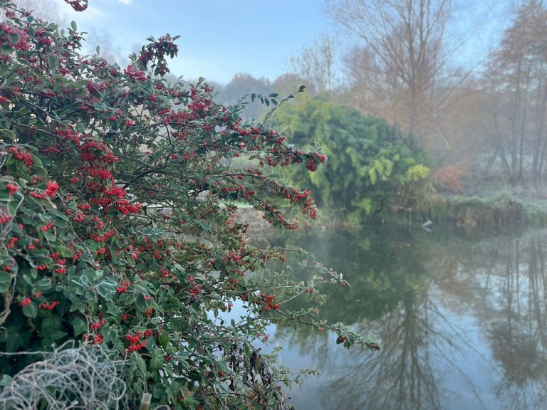 Images for Colchester, Suffolk, Colchester