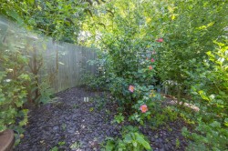 Images for Colchester, Essex, Colchester